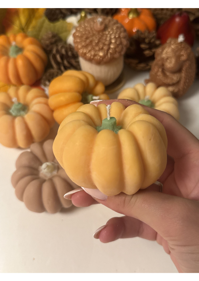 Autumn Pumpkin