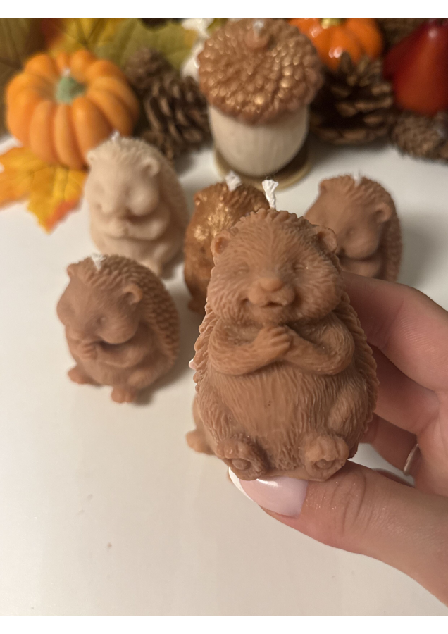 Kleiner Herbstfreund